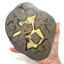 Charger l'image dans la galerie, Septarian Nodule