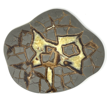 Charger l'image dans la galerie, Septarian Nodule