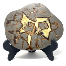 Charger l'image dans la galerie, Septarian Nodule