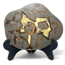 Charger l'image dans la galerie, Septarian Nodule