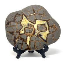 Charger l'image dans la galerie, Septarian Nodule