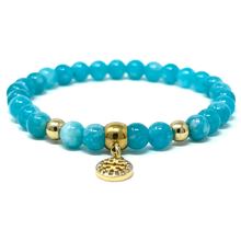 Load image into Gallery viewer, Set Amazonite