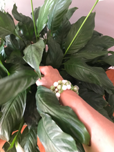 Load image into Gallery viewer, White Jade & Green Fusion Pearls