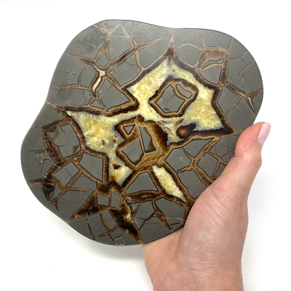 Septarian Contraction Load image into Gallery viewer, Septarian Nodule