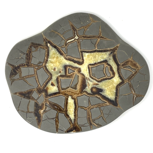 Septarian Nodule