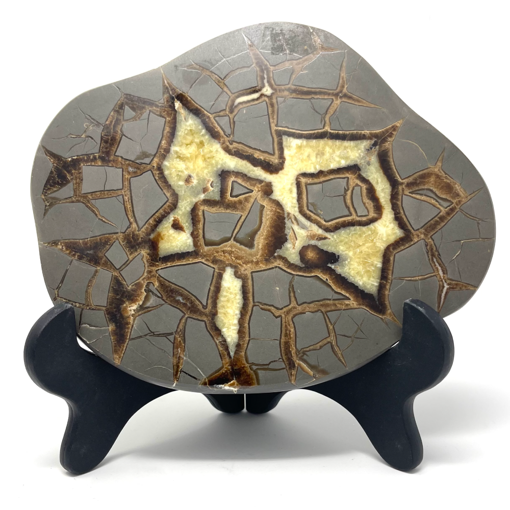 Septarian Nodule